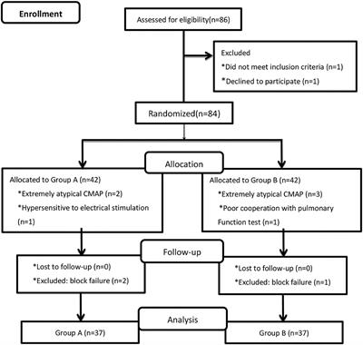 The Amplitude of Diaphragm Compound Muscle Action Potential Correlates With Diaphragmatic Excursion on Ultrasound and Pulmonary Function After Supraclavicular Brachial Plexus Block